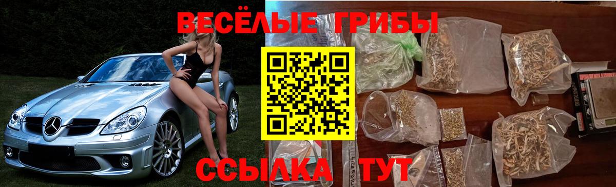 Псилоцибиновые грибы GOLDEN TEACHER Красногорск