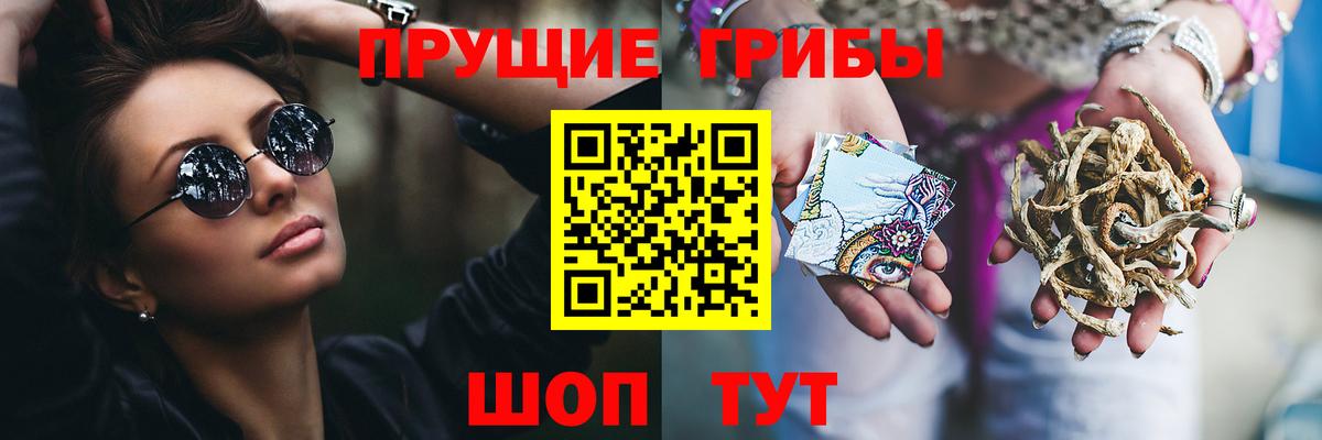 Галлюциногенные грибы ЛСД  Вход с VPN  Красногорск  Галлюциногенные грибы GOLDEN TEACHER 