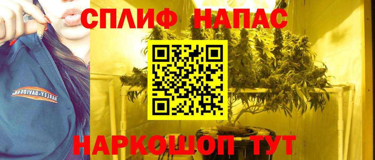 Бошки Шишки Bruce Banner Красногорск